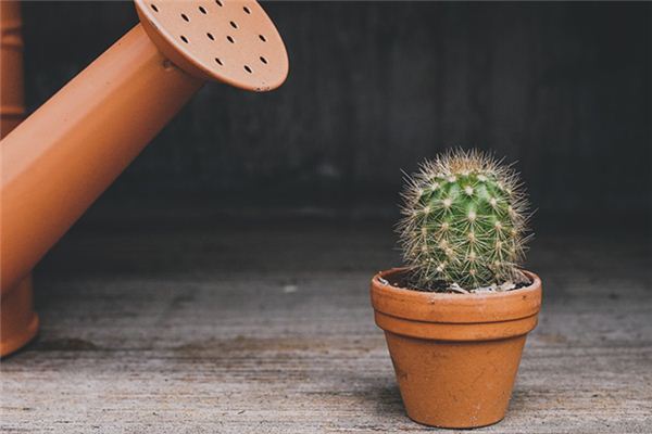 El significado y símbolo de perforar la mano en el sueño.