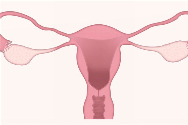 El significado y símbolo de la vagina en los sueños.