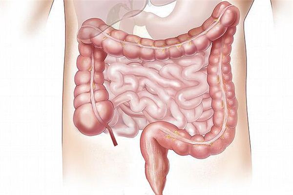 Interpretación y adivinación de los sueños intestinales