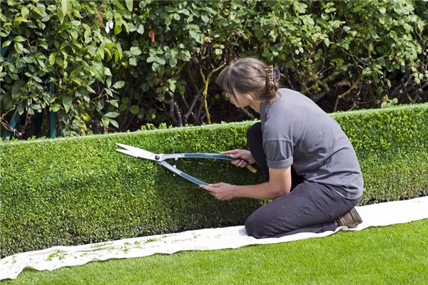 El significado de soñar con un jardinero.