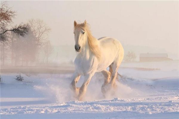 El significado de soñar con caballos