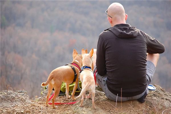 El significado de soñar con un hombre calvo