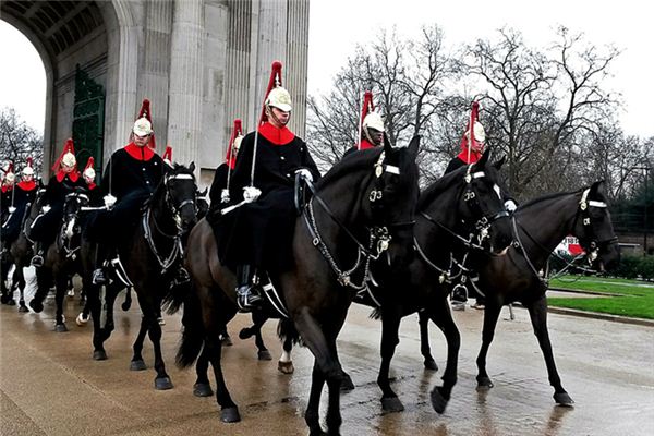 El significado de soñar con la guardia de honor.