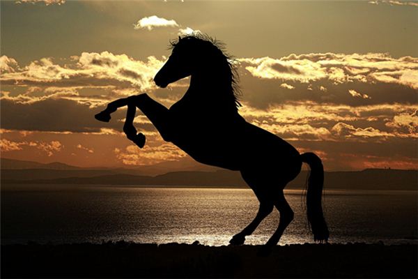 Soñar con el significado de montar un gran caballo negro