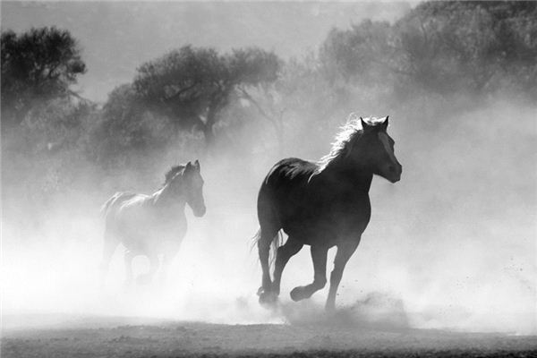 El significado de soñar con caballos