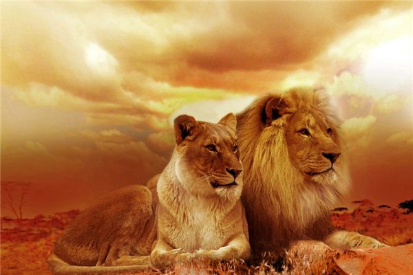 El significado de soñar con ser perseguido por un león