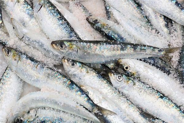 Soñando con el significado de las sardinas