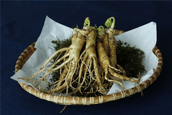 significado de soñar con ginseng