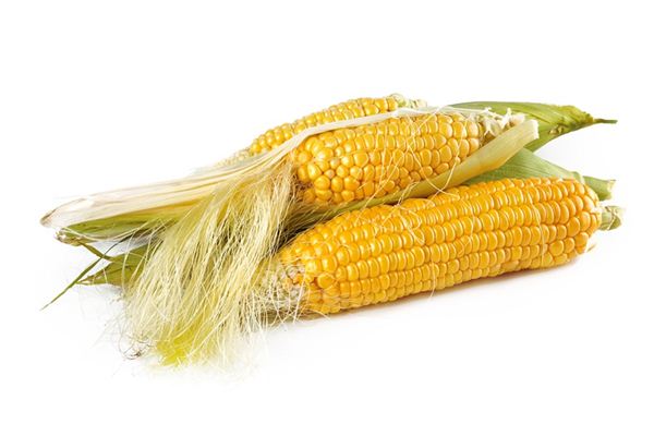 significado de soñar con maíz