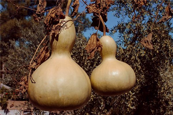 significado de soñar con calabaza