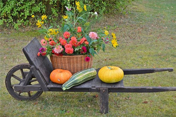 significado de soñar con melón de invierno