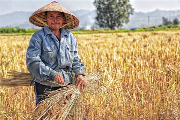 Soñar con significado espiritual fructífero