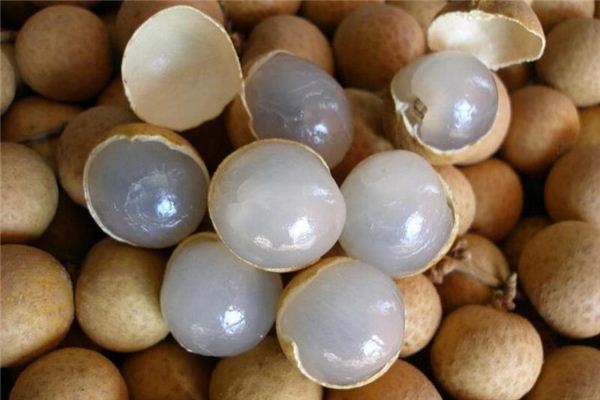 Significado de soñar con longan