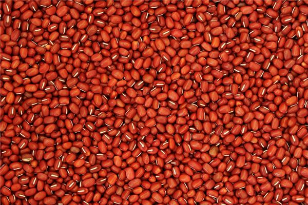 significado de soñar con frijoles rojos