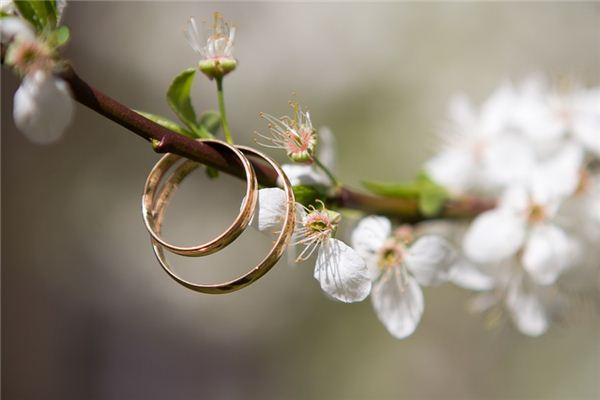 El significado espiritual de soñar con anillos