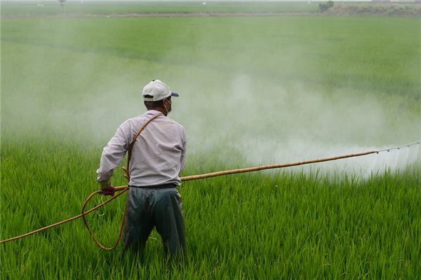 El significado espiritual de soñar con pesticidas