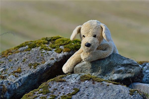 ¿Qué significa soñar con un perro de juguete?