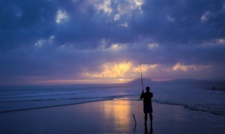 Soñar con pescar : 27 escenarios y significados