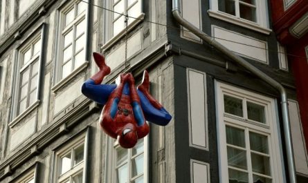 Soñar con rocódromo de araña : 36 escenarios y significados