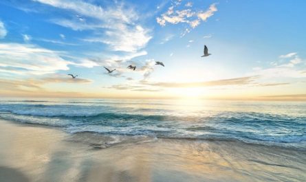 Soñar con olas : 25 escenarios y significados