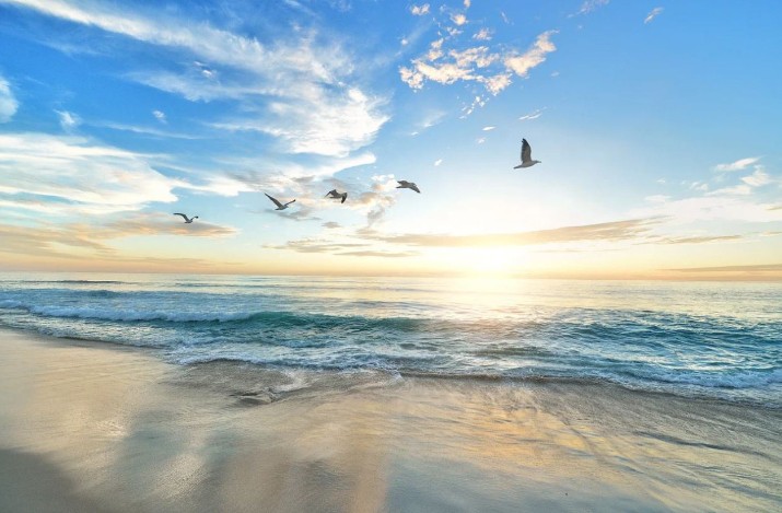Soñar con olas : 25 escenarios y significados