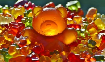 Soñar con un oso : 33 escenarios y significados