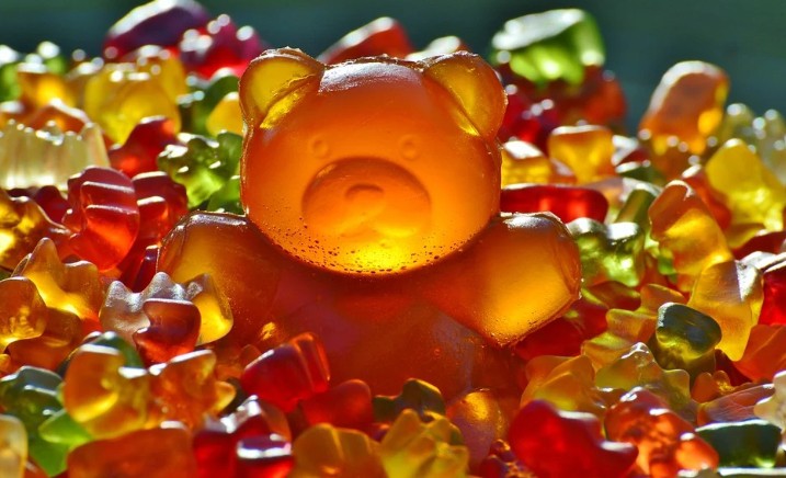 Soñar con un oso : 33 escenarios y significados