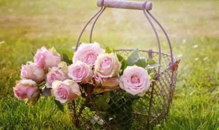 Soñar con flores : 42 escenarios y significados