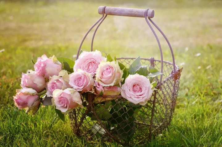 Soñar con flores : 42 escenarios y significados
