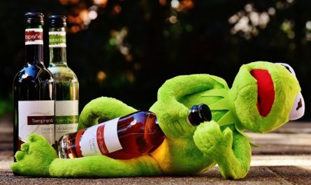 Soñar con ranas : 22 escenarios y significados