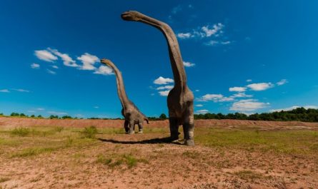 Soñar con dinosaurios : 30 escenarios y significados