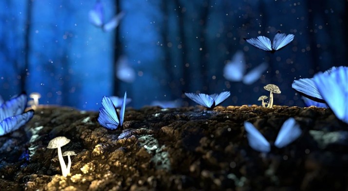 Soñar con mariposas : 22 escenarios y significados