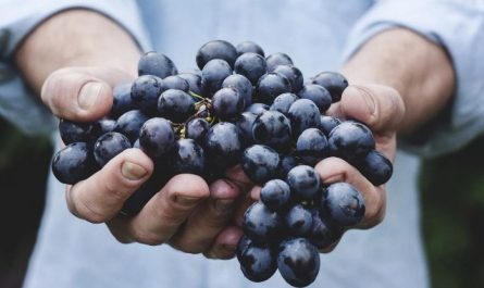 Soñar con uvas : 34 escenarios y significados