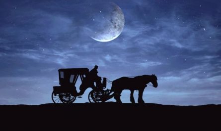 Soñar con caballos : 81 escenarios y significados