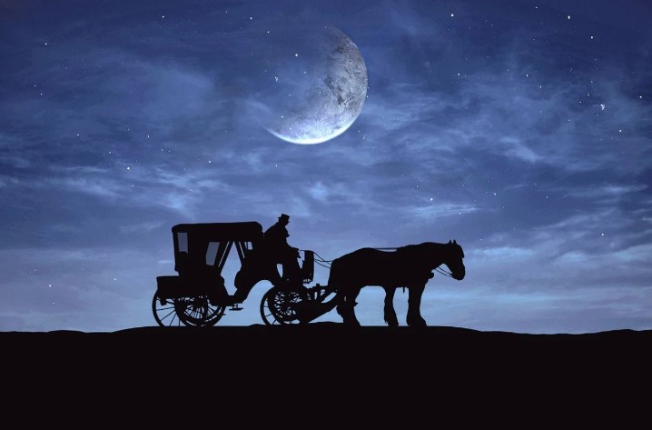 Soñar con caballos : 81 escenarios y significados