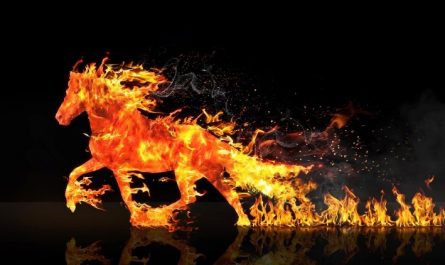 Soñar con fuego : 65 escenarios y significados