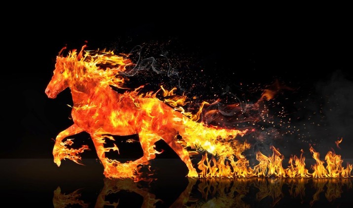 Soñar con fuego : 65 escenarios y significados