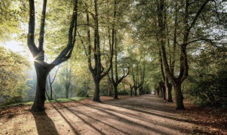 Soñar con perderse : 26 escenarios y significados