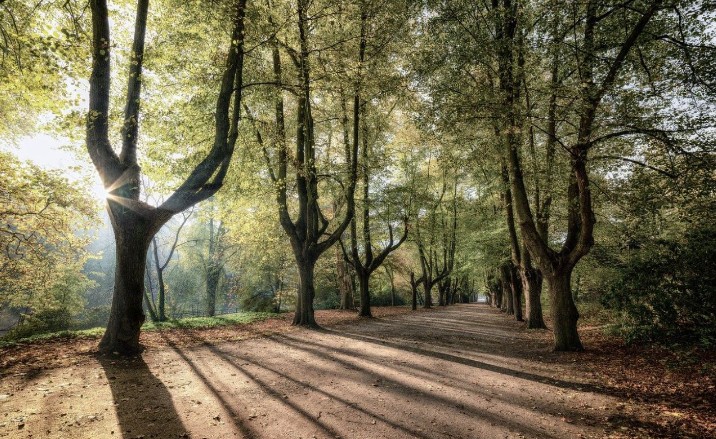 Soñar con perderse : 26 escenarios y significados