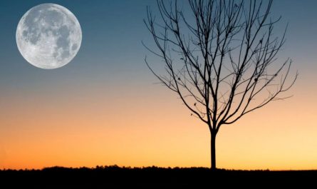 Soñar con la luna : 33 escenarios y significados