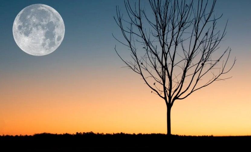 Soñar con la luna : 33 escenarios y significados