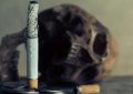 Soñar con fumar : 26 escenarios y significados