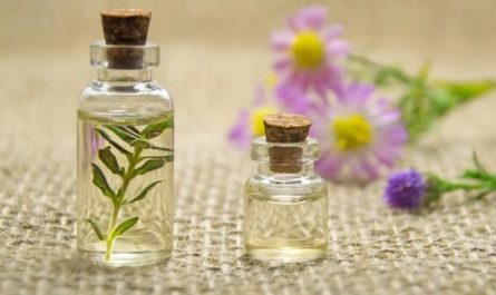 Soñar con olores : 27 escenarios y significados
