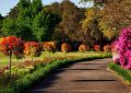 Soñar con jardín : 33 escenarios y significados