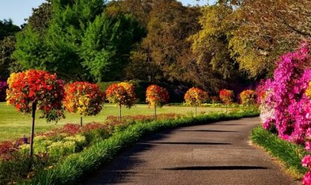 Soñar con jardín : 33 escenarios y significados