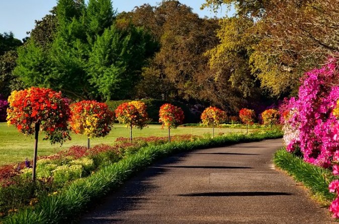 Soñar con jardín : 33 escenarios y significados