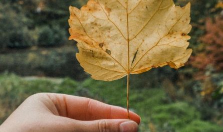 Soñar con mentir : 22 escenarios y significados