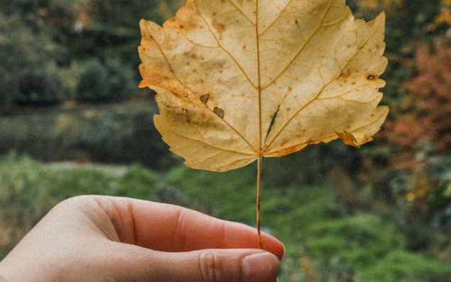 Soñar con mentir : 22 escenarios y significados