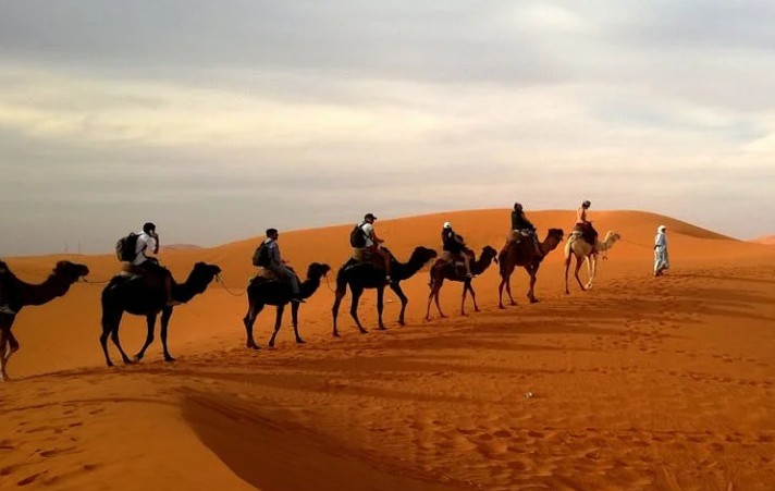Soñar con camellos : 23 escenarios y significados