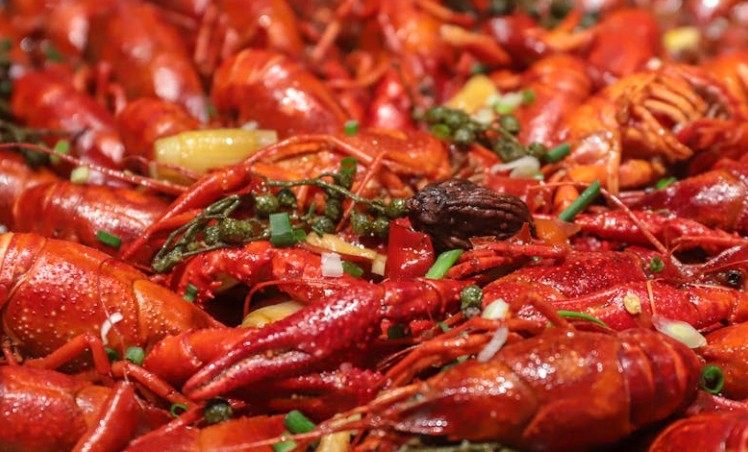 Soñar con camarones : 45 escenarios y significados